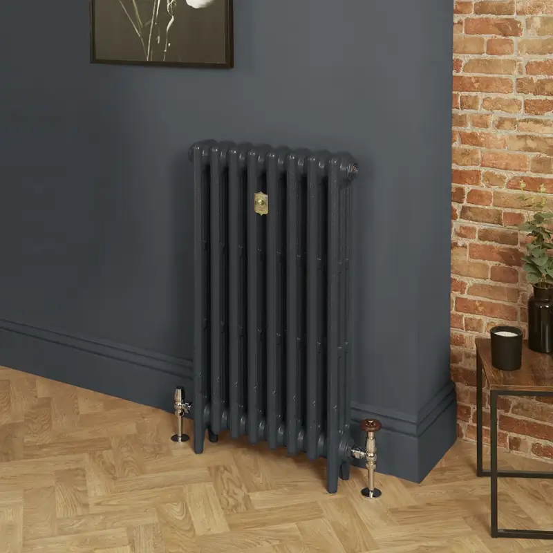Acquista oggi - Radiatore Tradizionale in Ghisa a 3 Colonne - Alto 760mm - Finitura Grigio Scuro Railings di Farrow & Ball - Mercury