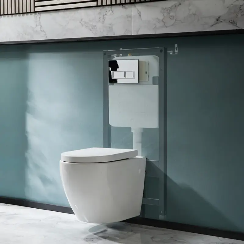 Sanitario WC Sospeso Senza Brida con Telaio Alto - Scelta della Placca di Comando - Ashbury | Prezzo conveniente