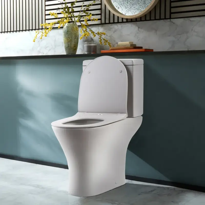 Promo lampo | Sanitario Moderno Monoblocco con Sedile con Chiusura Ammortizzata - Scelta della Finitura del Pulsante di Scarico - Marbury