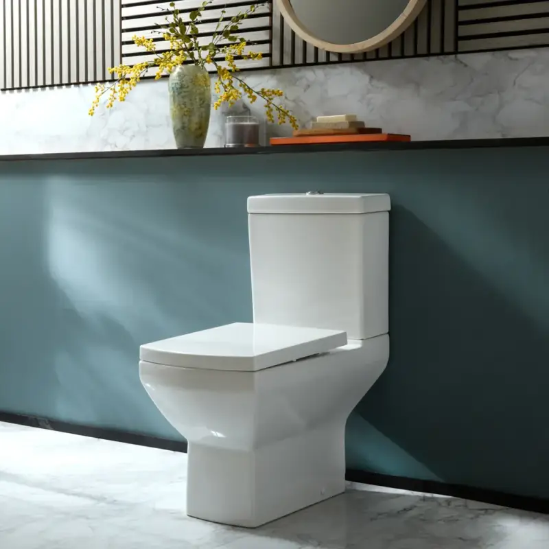 Grande sconto | Sanitario Moderno Monoblocco con Sedile con Chiusura Ammortizzata - Scelta della Finitura del Pulsante di Scarico - Halwell