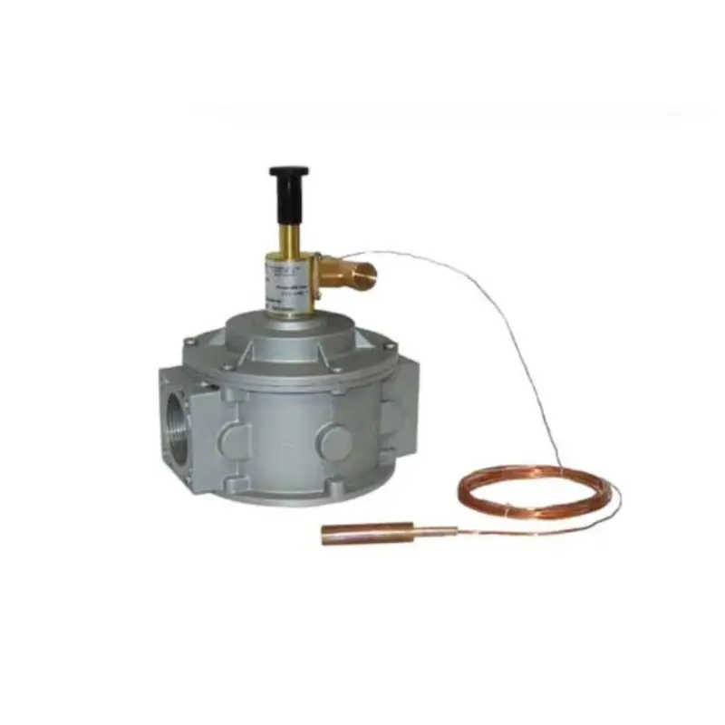 Bestseller - WATTS Valvola Intercettazione con Attacchi Flangiati in Alluminio DN 65