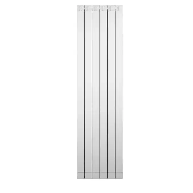 Molto apprezzato | Radiatore in Alluminio Fondital Garda Dual 80 da 3 a 6 Elementi con Interasse 1000 mm