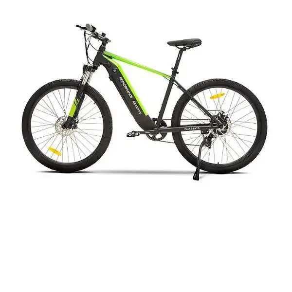 Bicicletta Elettrica Argento E-Bike Performance 250W 36V Nero/Verde AR-BI-220002 - Acquista subito