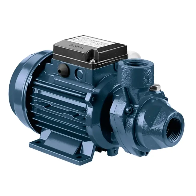 Qualità garantita - Elettropompa Periferica Klimaline KL60A 0,5 HP pompa Motore Elettrico Per Acqua Autoclave