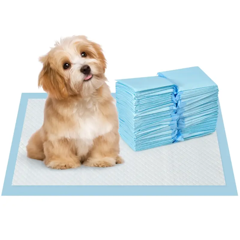 Spedizione immediata | EasyComfort Set 100 Tappetini Igienici per Cani a 6 Strati in Tessuto non Tessuto, Carta e PE, 45x30 cm, Blu e Bianco